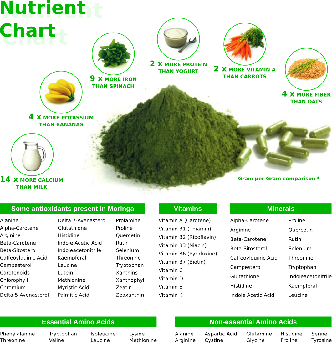 Moringa Tree Leaf Nutrition Facts Besto Blog